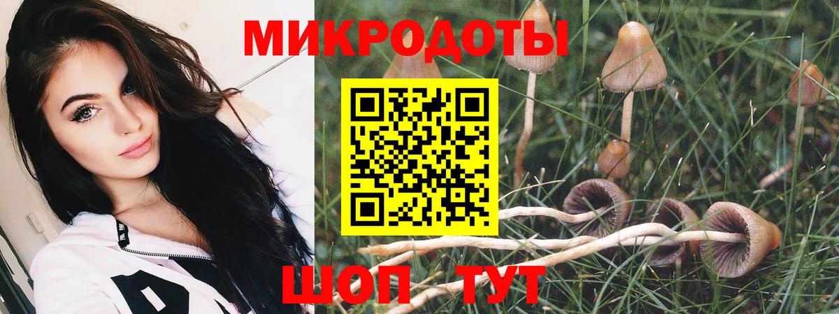 Псилоцибиновые грибы мухоморы  Вход с VPN  Петрозаводск 